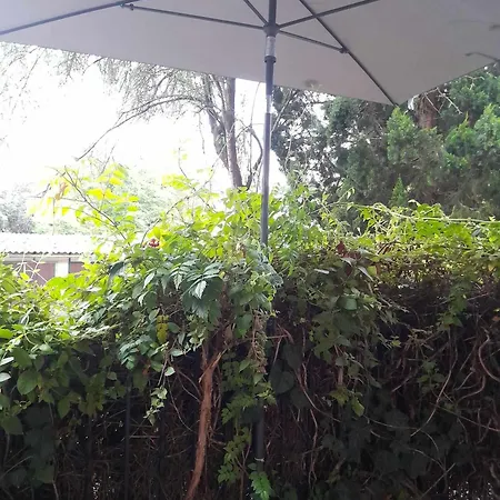 Apartament Hangulatos Kis Lakas A Belvaroshoz Koezel *