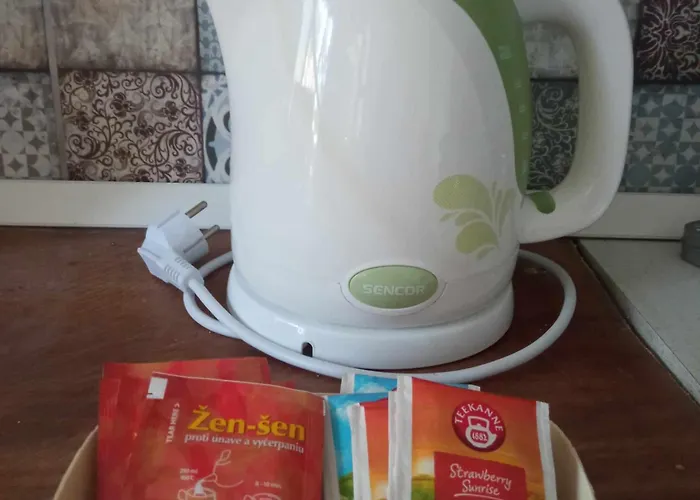 Hangulatos Kis Lakas A Belvaroshoz Koezel Apartament Seghedin