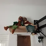 Apartament Hangulatos Kis Lakas A Belvaroshoz Koezel Seghedin