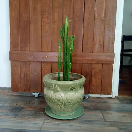 شقة Hangulatos Kis Lakas A Belvaroshoz Koezel